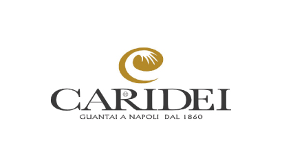 CARIDEIのロゴ画像