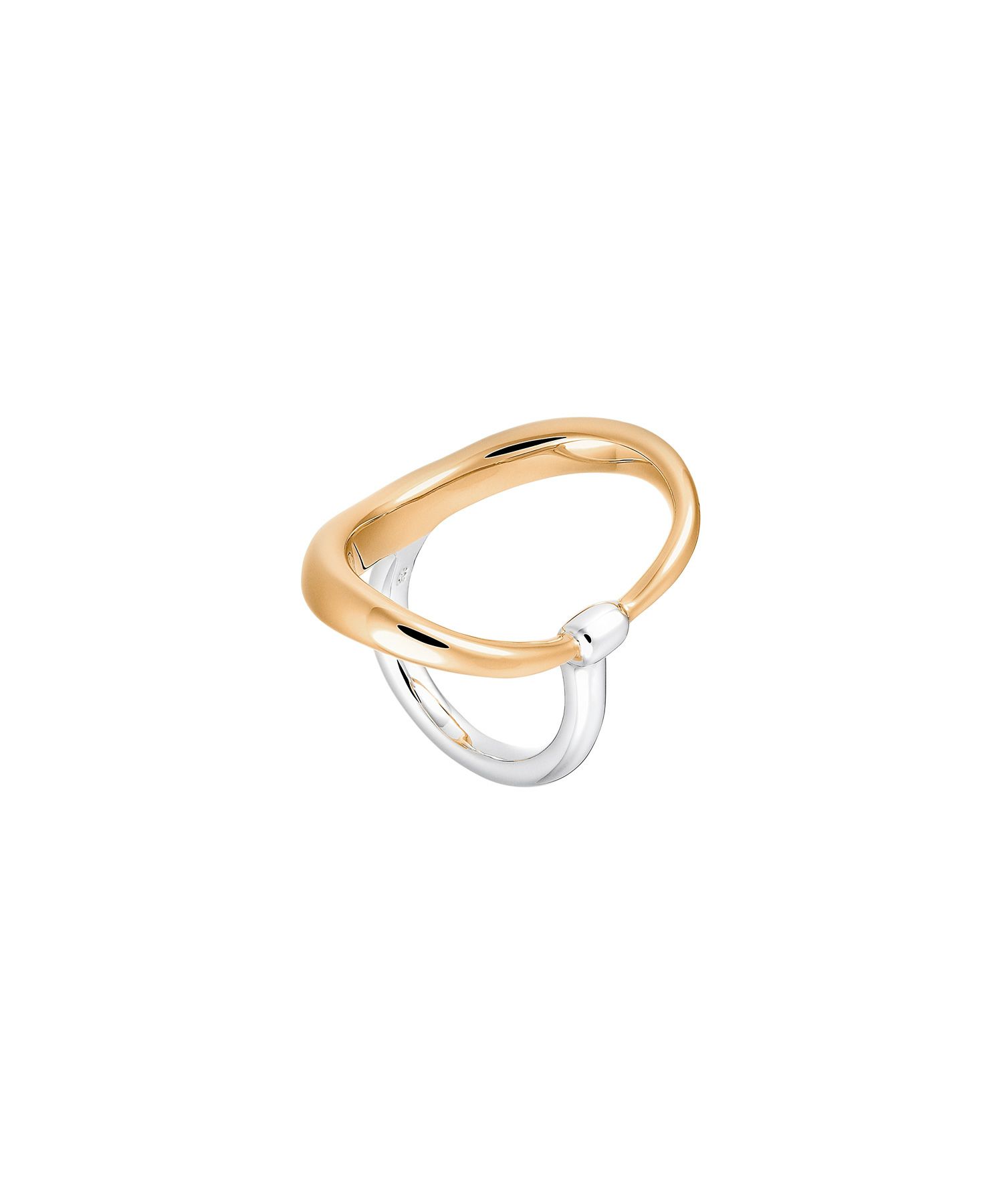 Charlotte Chesnais(シャルロットシェネ)】 BAGUE TURTLE｜PARIGOT 
