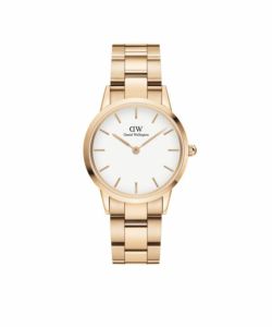 Daniel Wellington ダニエル ウェリントン Petite Mesh Parigot Online パリゴオンライン