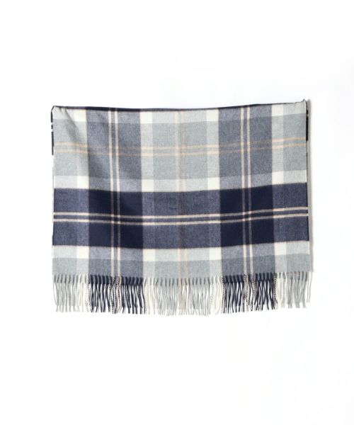 KU0499(Silver Bannockbane)