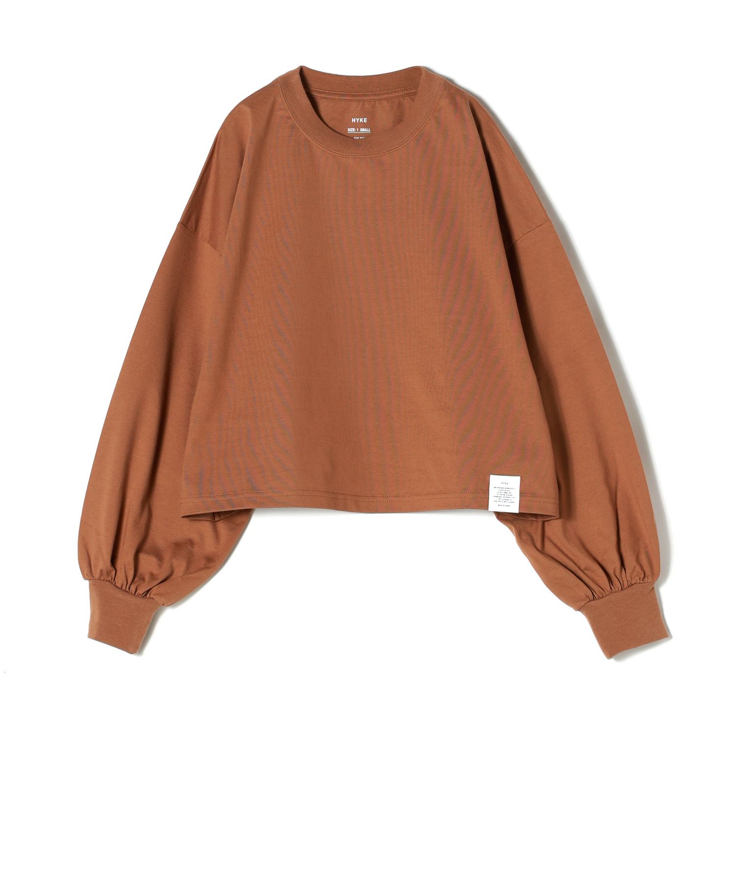 13(COYOTE BROWN)