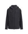 D.NAVY