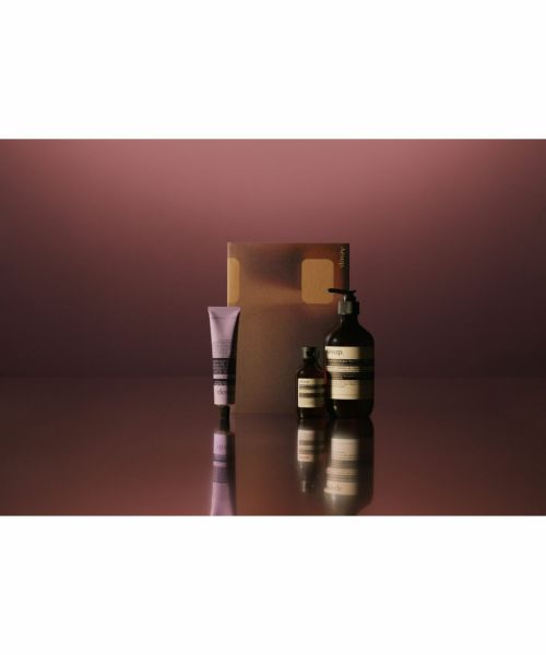 Aesop(イソップ)】 ギフトキット Screen 3｜PARIGOT ONLINE（パリゴ