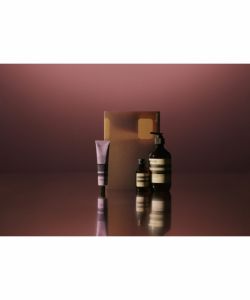 Aesop(イソップ)】 ギフトキット Screen 3｜PARIGOT ONLINE（パリゴ