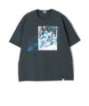 D(CHARCOAL GRAY)