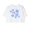 D2W01(WHITE BLUE)