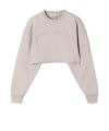 MAUVE GREY