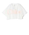 101(White)