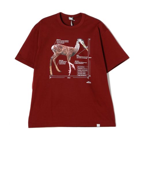 kolor BEACON(カラービーコン)】 T-Shirt｜PARIGOT ONLINE
