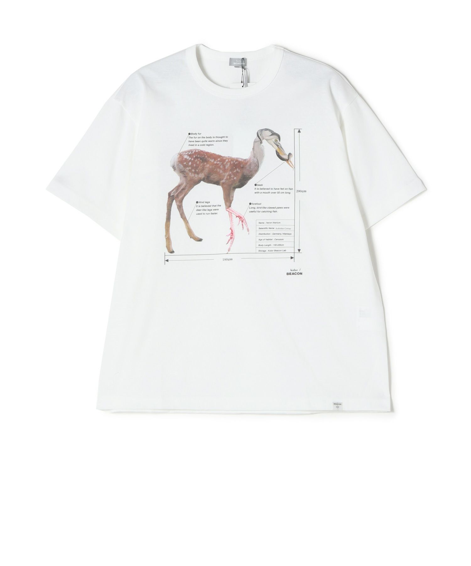 00(WHITE)