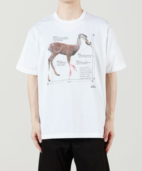 kolor BEACON Tシャツ kolor BEACON]T-Shirt/BLACK(25SBM-T02231) – R&Co.