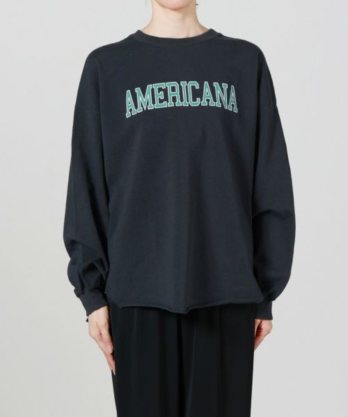 AMERICANA アメリカーナ　パリゴ　　Tシャツワンピース　ブラウン 大人気ヘビロテアイテム“AMERICANA (アメリカーナ)別注