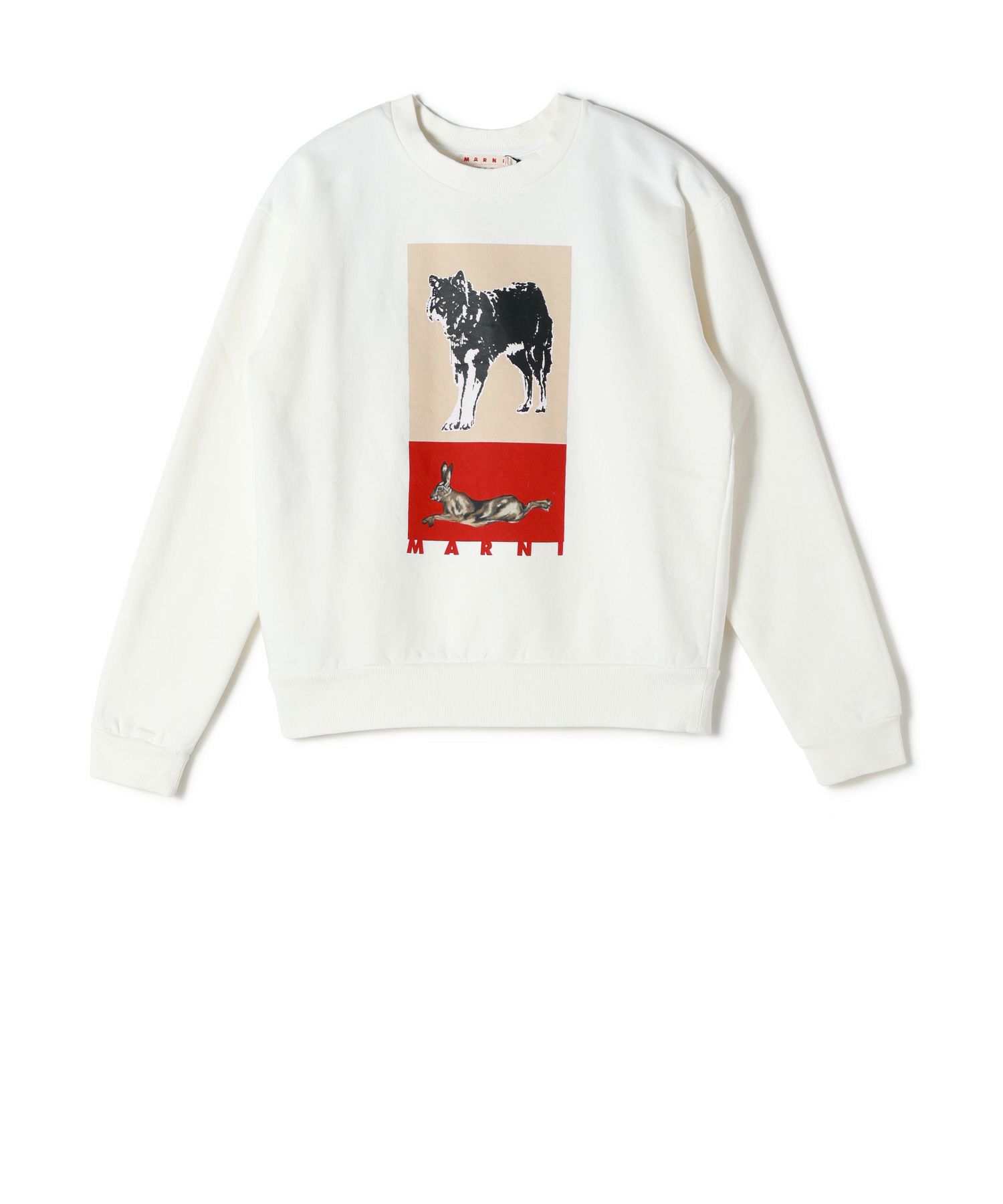 MARNI(マルニ)】 コットン製スウェット｜PARIGOT ONLINE（パリゴ